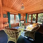 Secluded Rustic Cabin - A Digital Detox Paradise.