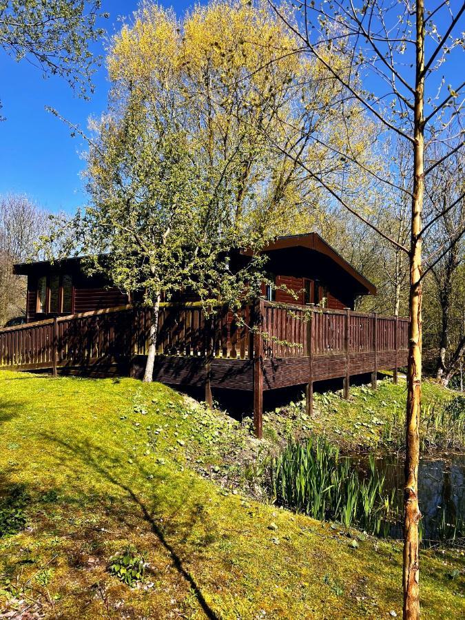 Secluded Rustic - A Digital Detox Paradise. Chalet